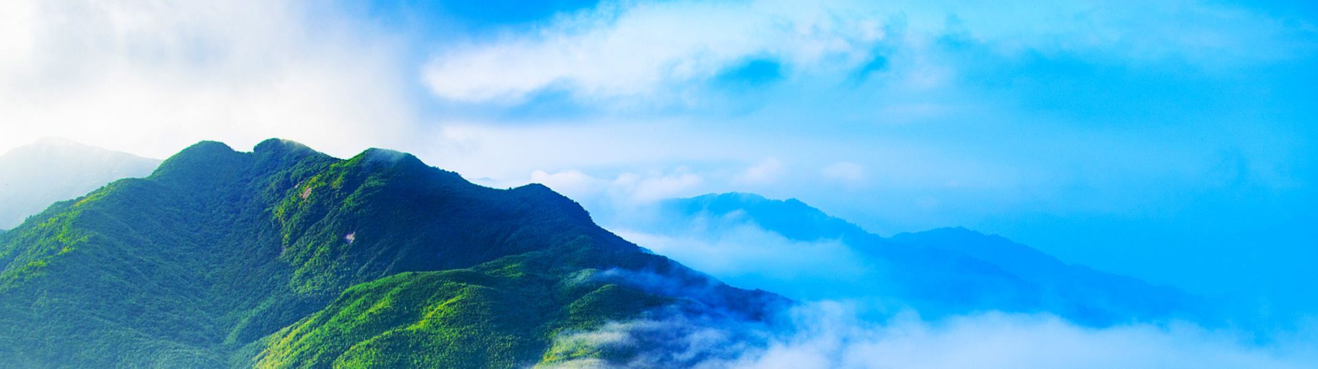 生態山金 生態山金